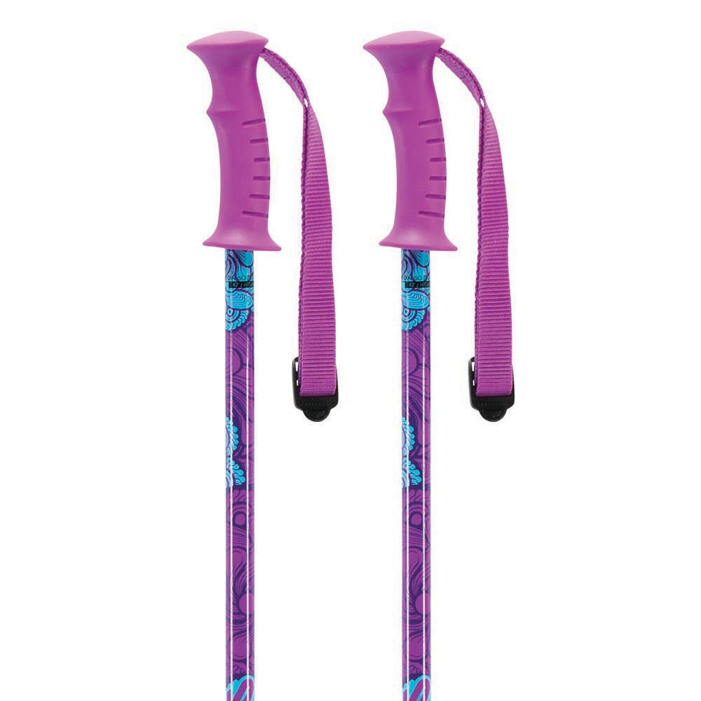 Charm Ski Poles